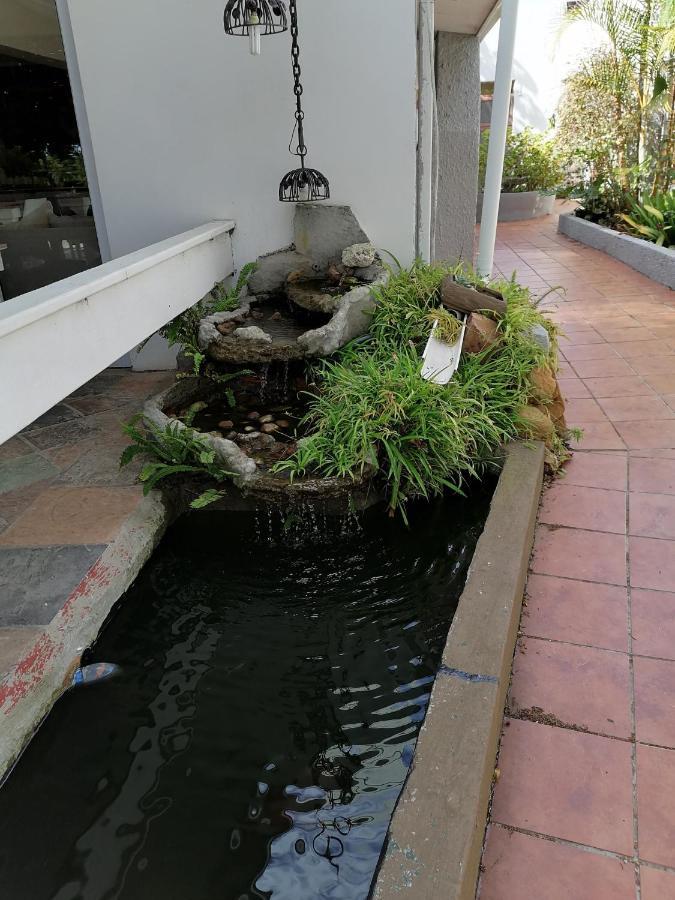 Mangolds Guest House Port Elizabeth Ngoại thất bức ảnh